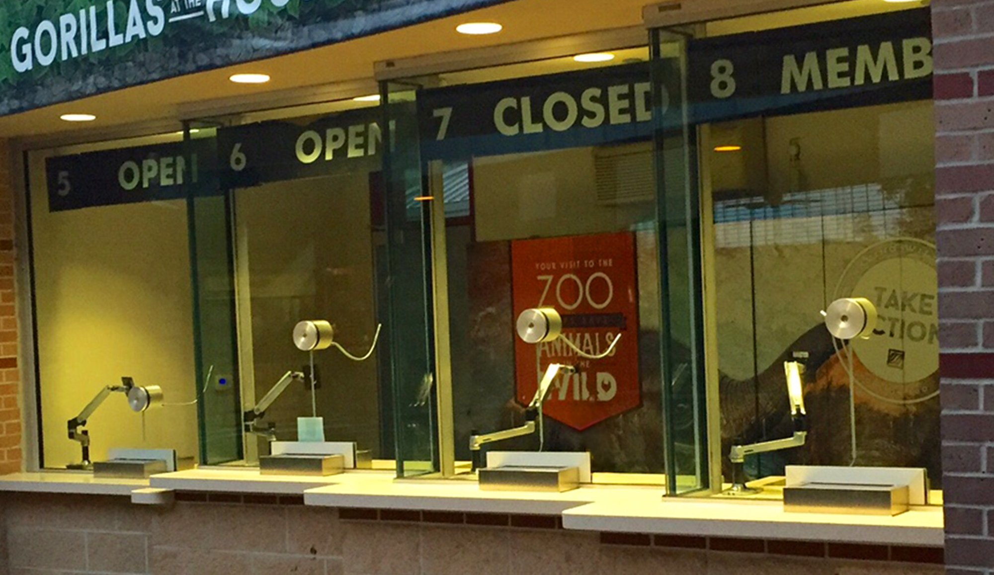 Bulletproof Window Zoo